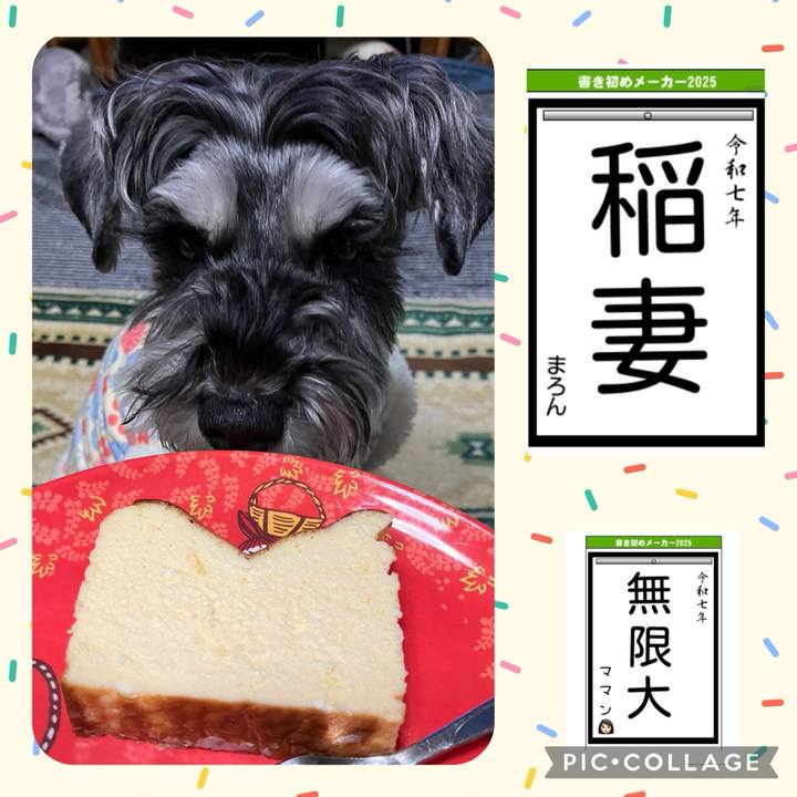 Acf7cfa5 0e22 4d1b bbdc 2d9ec7ca7976 1736605999666