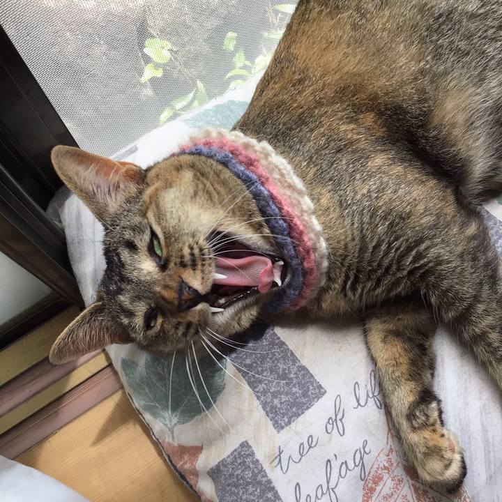 Acf7dab7 8544 4f8a bda6 2a6dcf0ddb41 1625624948782