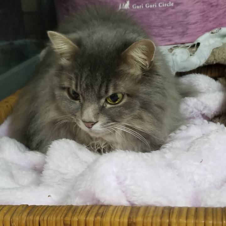 Acf7fa0b 5ac7 4e4b 9db5 4810952a9c30 1551355693982