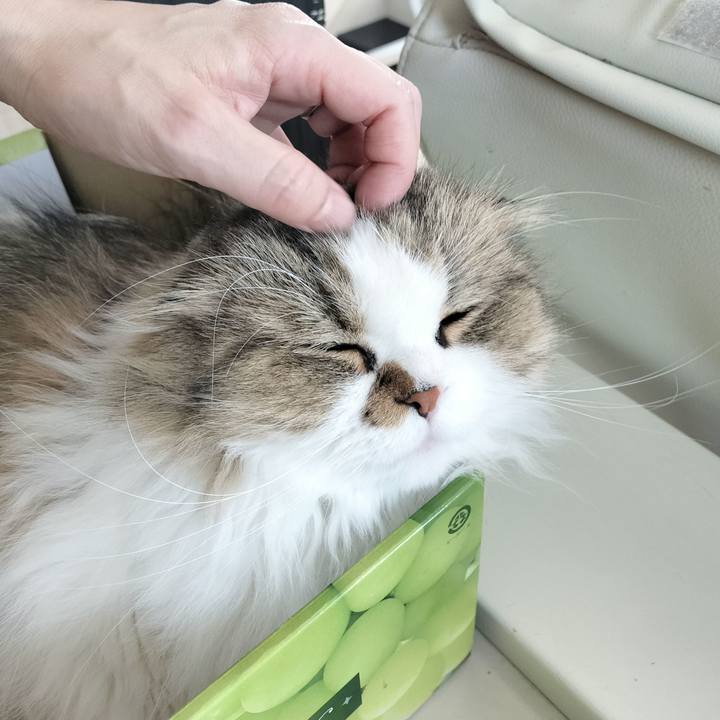 Acf80507 fc6b 43ba 9181 0cdd08301a13 1773185170096