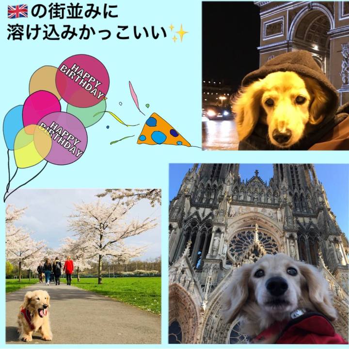 Acf82b9e 1459 47c5 8b86 8590fa70c130 1523635474862