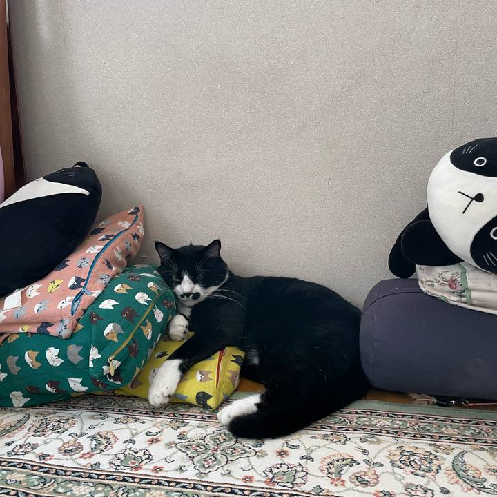 Acf836b6 df01 4bb4 b208 a52fd7253443 1752792659848