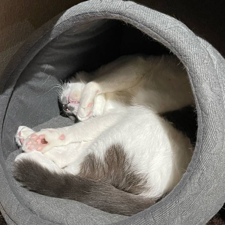 Acf879db a447 4370 8210 9cbe9697101c 1663847755504