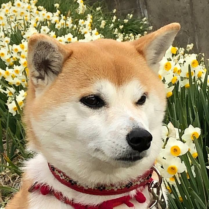 Acf88054 9082 49e3 9900 bf40b72ab9c1 1550195212753