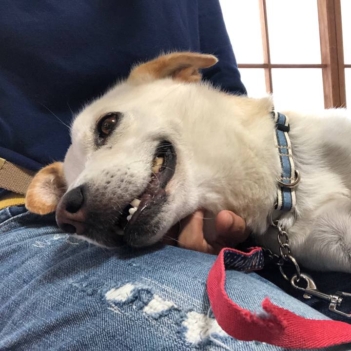 Acf89126 5b6b 45c1 ba24 2d259d0b5260 1623501809408