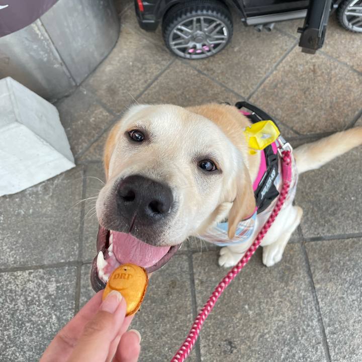 Acf89b5e 6150 4c12 b179 804f67c8b36b 1625733832976