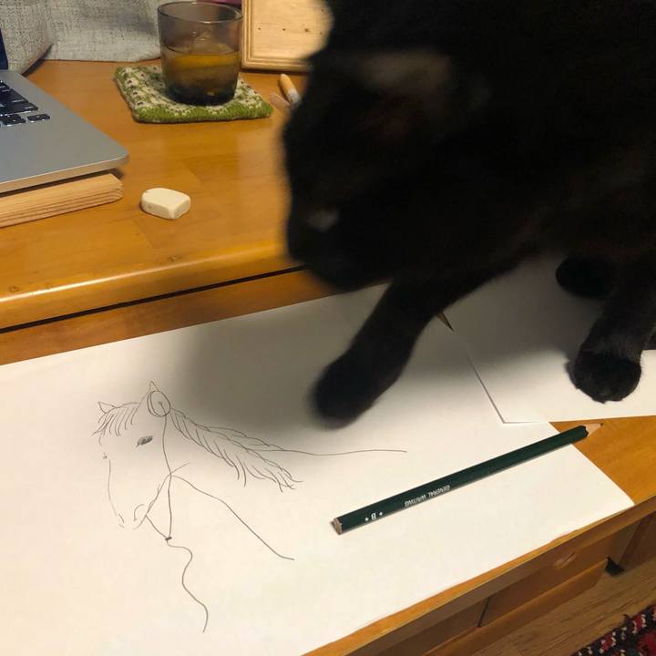 Acf89f41 b609 46b1 ba1c 20e27804a441 1636415697210