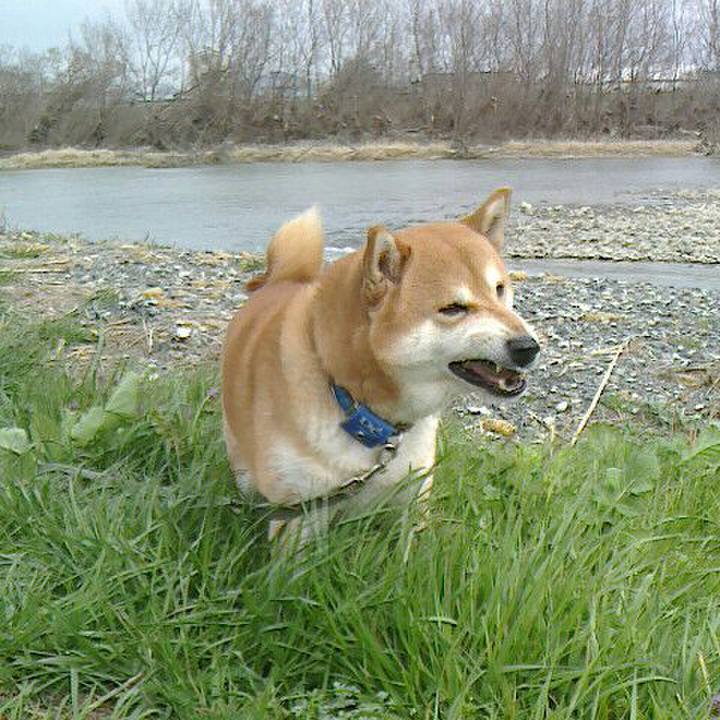 Acf8a06d 2db6 46f3 97cf 2e6e026e5aa5 1551936966510