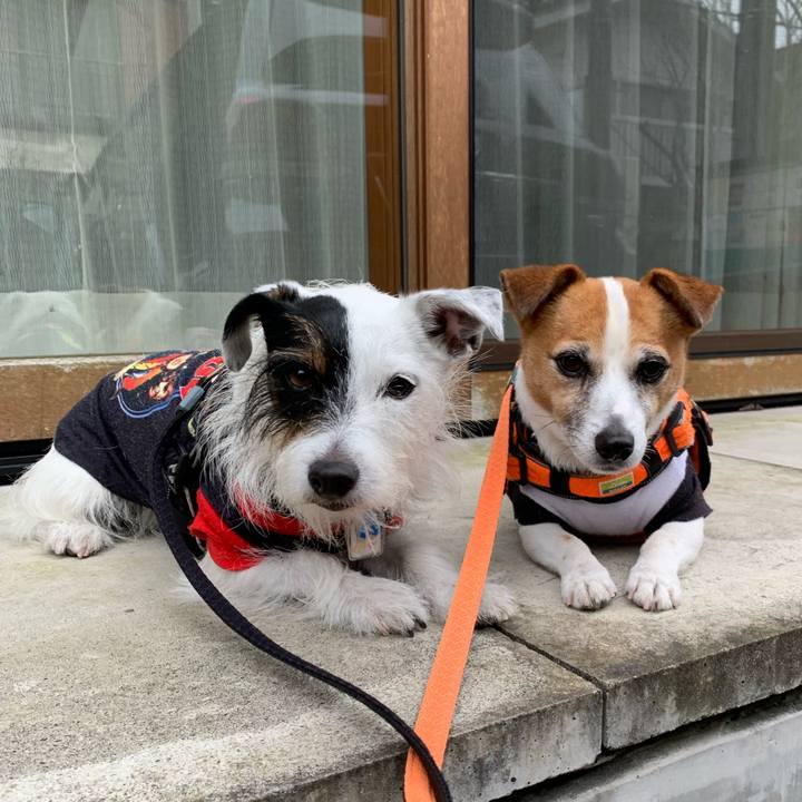 Acf8c43d 7354 482c b082 be0158d78700 1635645140886