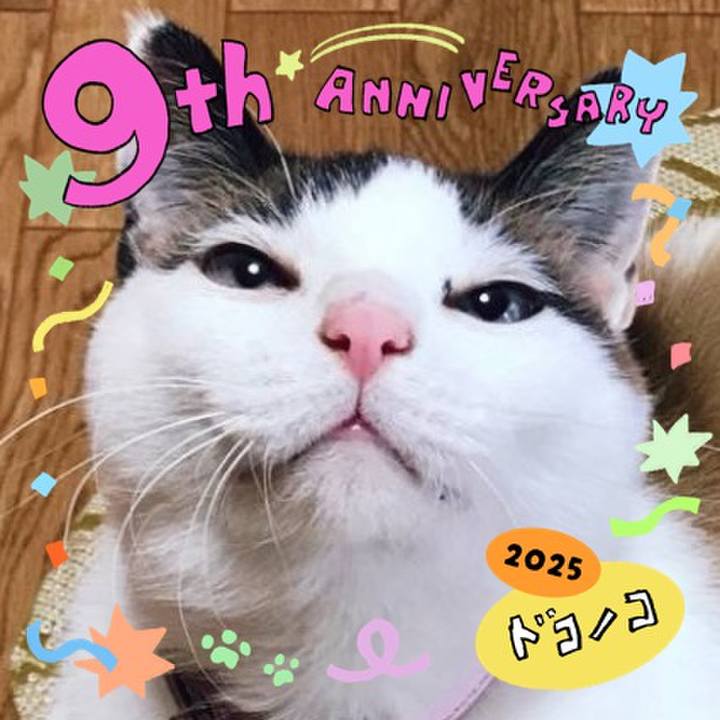 Acf8d69c df33 4260 b35e ed8694579e7a 1749098287760