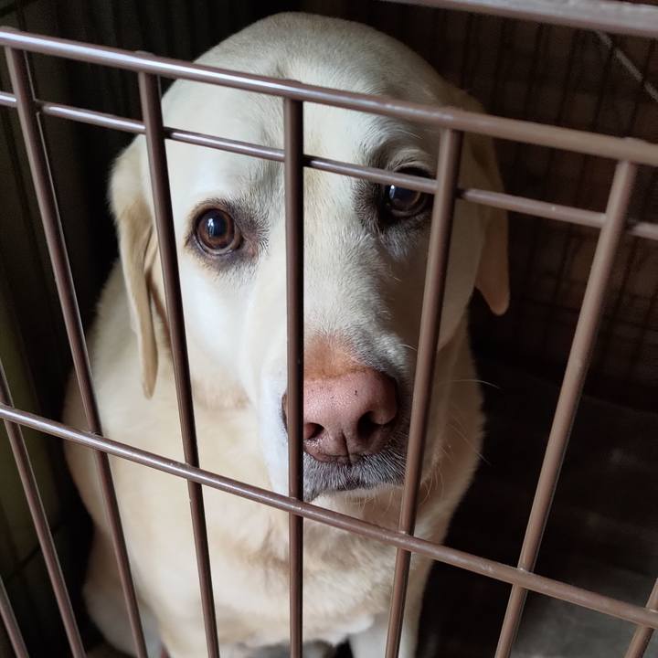 Acf8e2ac 45bd 4469 b3a4 210d8c4430b9 1706833944673