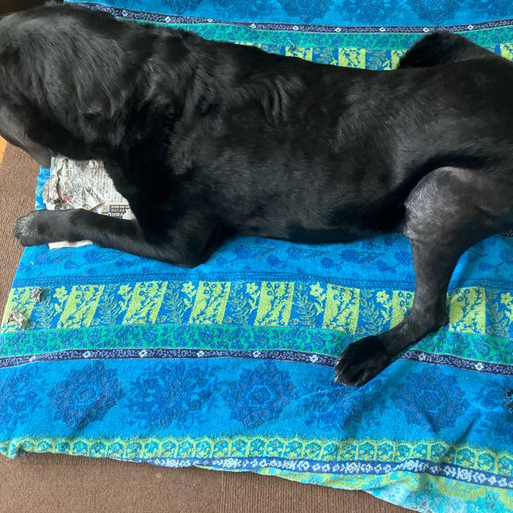 Acf8f0d4 127e 4d86 9852 4092016727ec 1746431554281