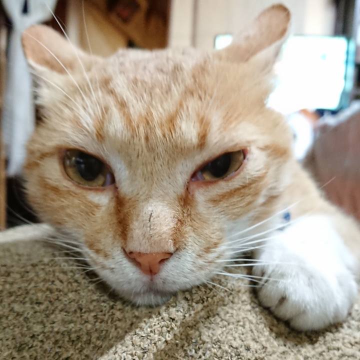 Acf8f6e9 c9e9 48dc 91ee 86a3cc7d97a9 1560943251986