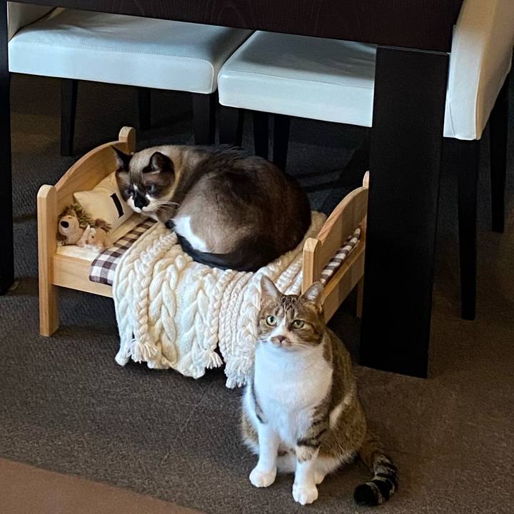 Acf90250 c989 4d28 a3d0 a6c28035b225 1611117132200