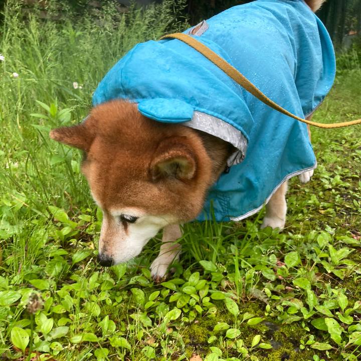 Acf95dfb 50b0 442a a117 aeb2fea79ba3 1652433510180