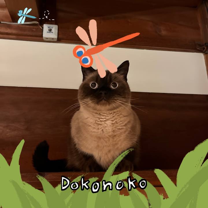 Acf96863 4c29 4dd2 9e22 de05f65462c7 1727000495434