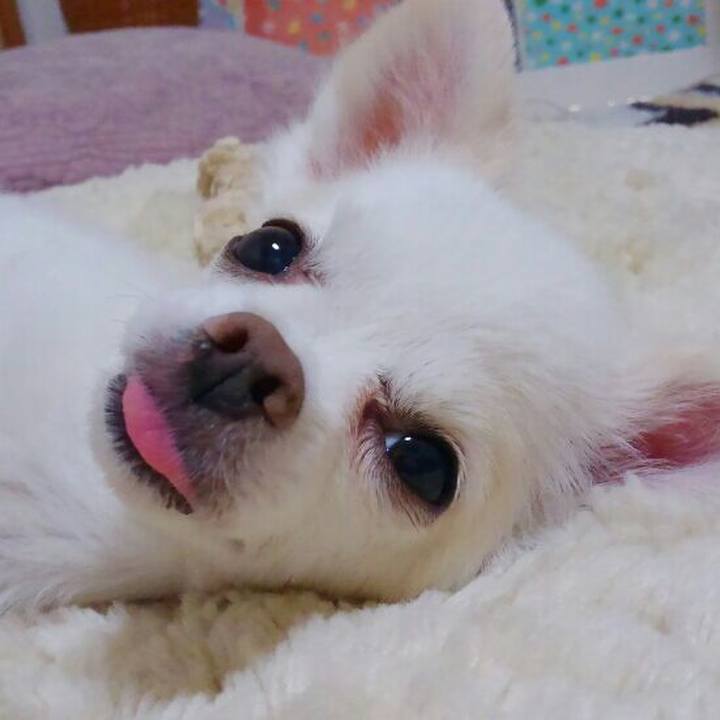 Acf9902f 7887 4ffe bc7e 88b7578003d5 1562496503484