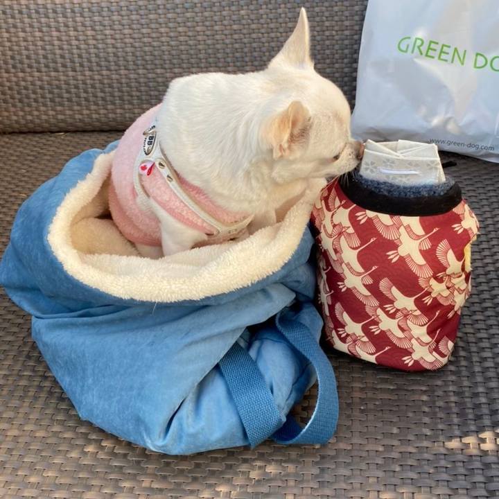 Acf9c498 8887 45a9 85d2 b64182ad401b 1610161098999