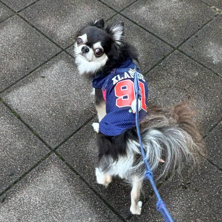 Acf9ccc0 04ad 4792 a399 ffb5424859ce 1721597704136