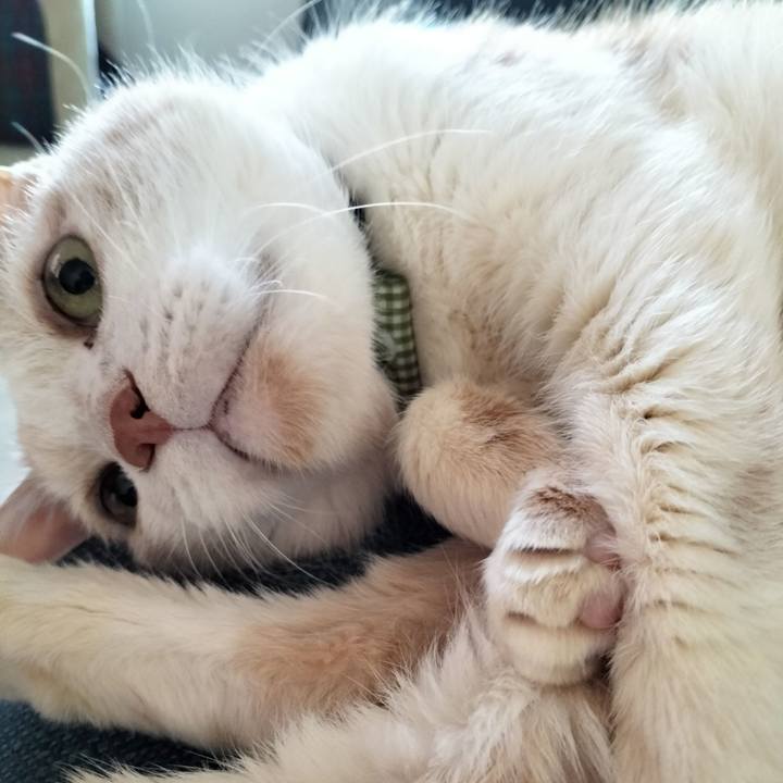 Acf9edb8 b0bc 481d 84ce 4382a6f10593 1701642225743