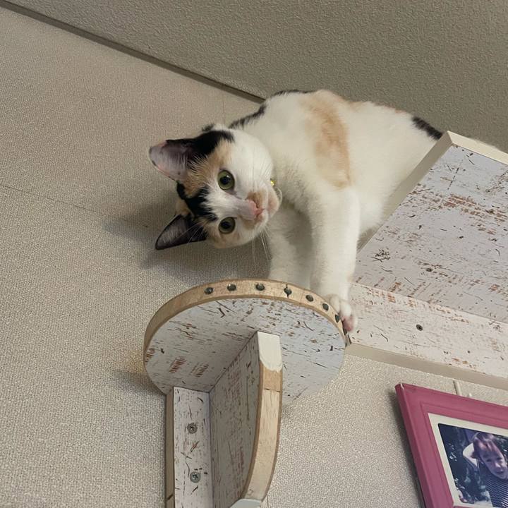 Acfa125a fb24 42c5 90ea 423aae68d3b8 1685314808121