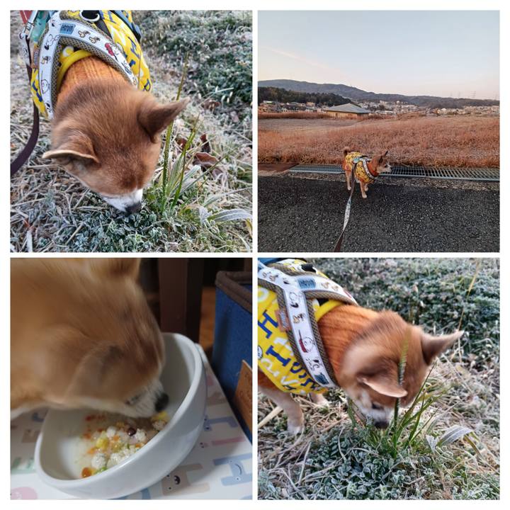 Acfa307b cd95 412a af67 2159d1a6a272 1770674733013