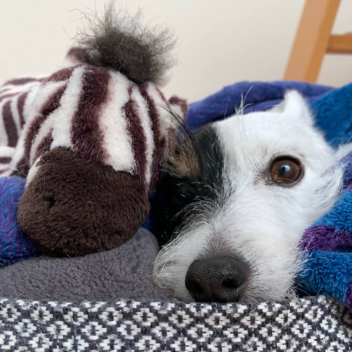 Acfa5bcd 9ebd 4300 a3fb fc864eecad13 1700010432696