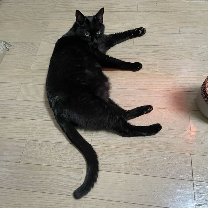 Acfa736f 8394 47e0 8daf 4f05e583c7a1 1769944856928