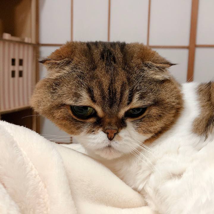 Acfabb69 7a34 4ed4 b170 ca3439194dde 1604919427738