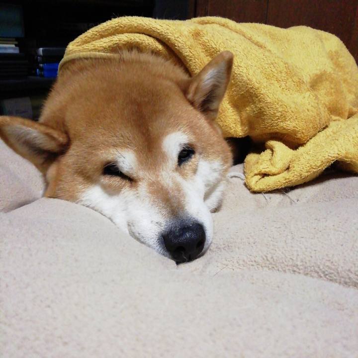 Acfaf56e c9fb 4009 80c3 e1453a9c5fca 1635516670174