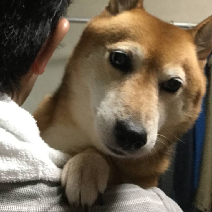 Acfb00a3 8f4f 4d3d 82bf e6c3f3696b36 1597302507551