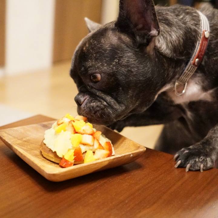 Acfb1f3f ee79 49c1 b5a6 b25b8ea4ece9 1549887229036