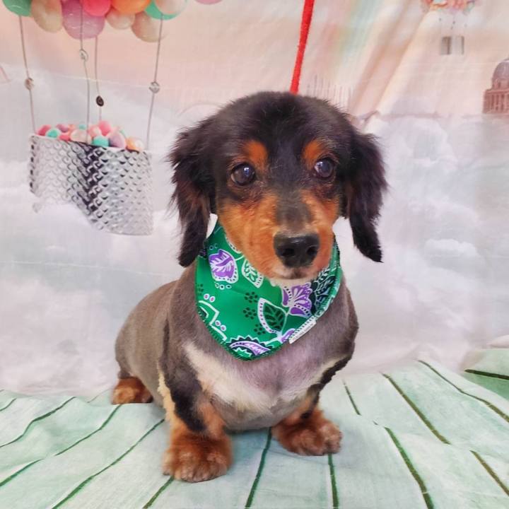 Acfb4916 ffbe 4e28 b226 e269b2536f97 1592086406308