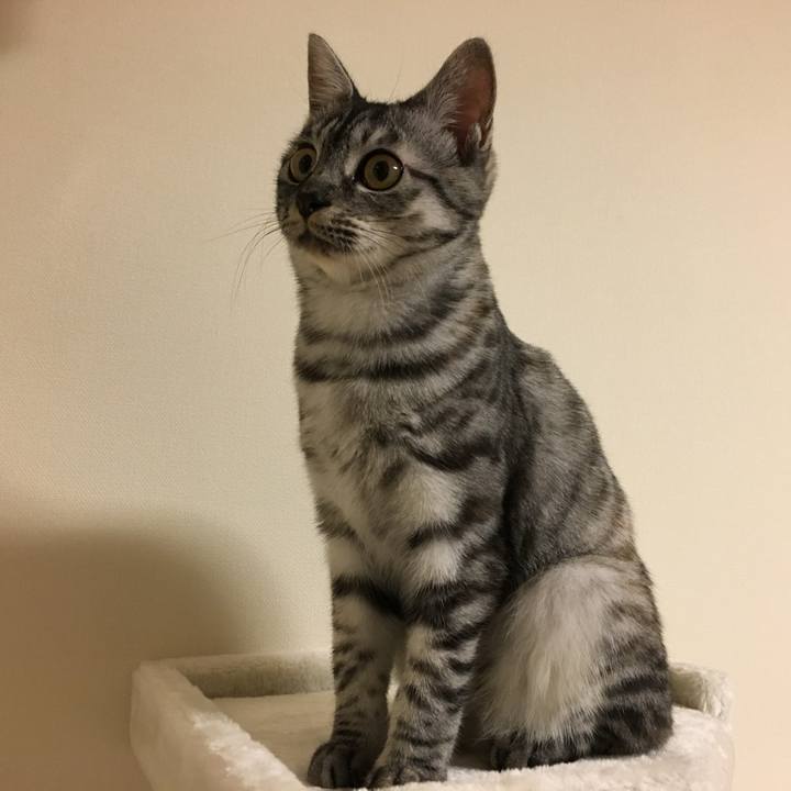 Acfb614d 9b88 4458 ad56 552586b2652a 1758441591505