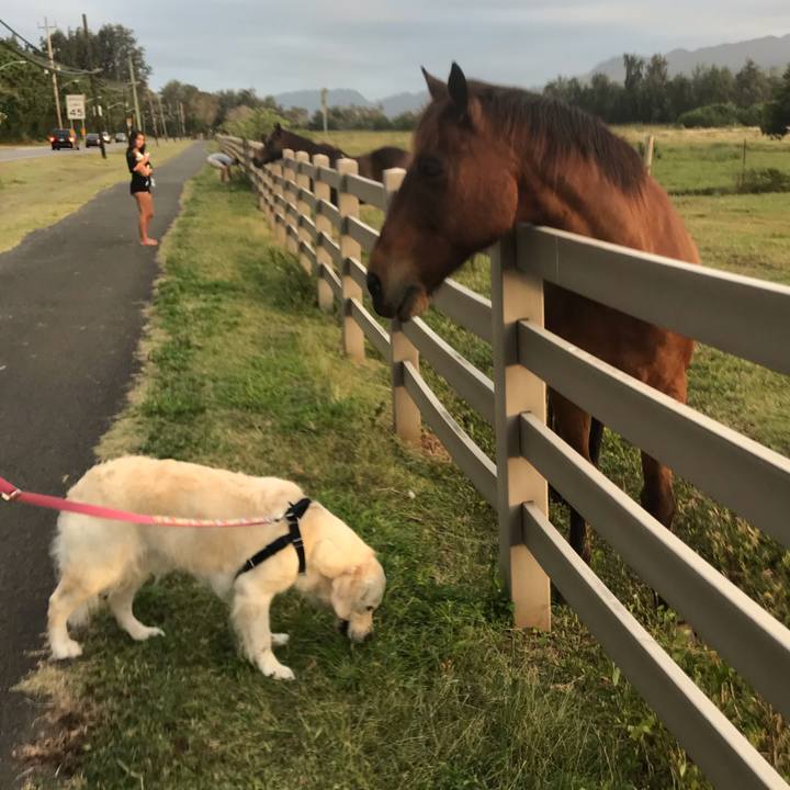 Acfb6295 57e3 4aae 8cf0 82c05158b264 1554333213371