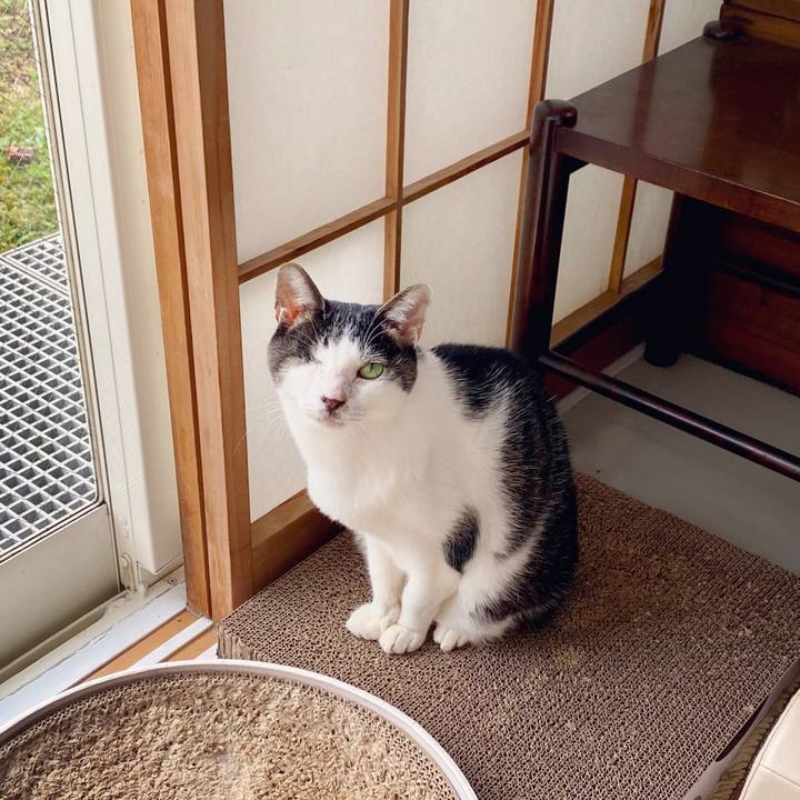 Acfb6bae 9bab 4753 9a90 e92906ade66e 1603756723764