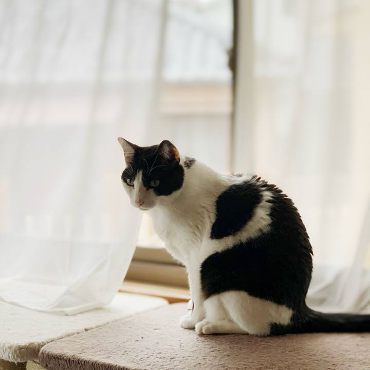 Acfb8d5e b77b 4c42 a4a4 e7a31c5ebd47 1597197045094