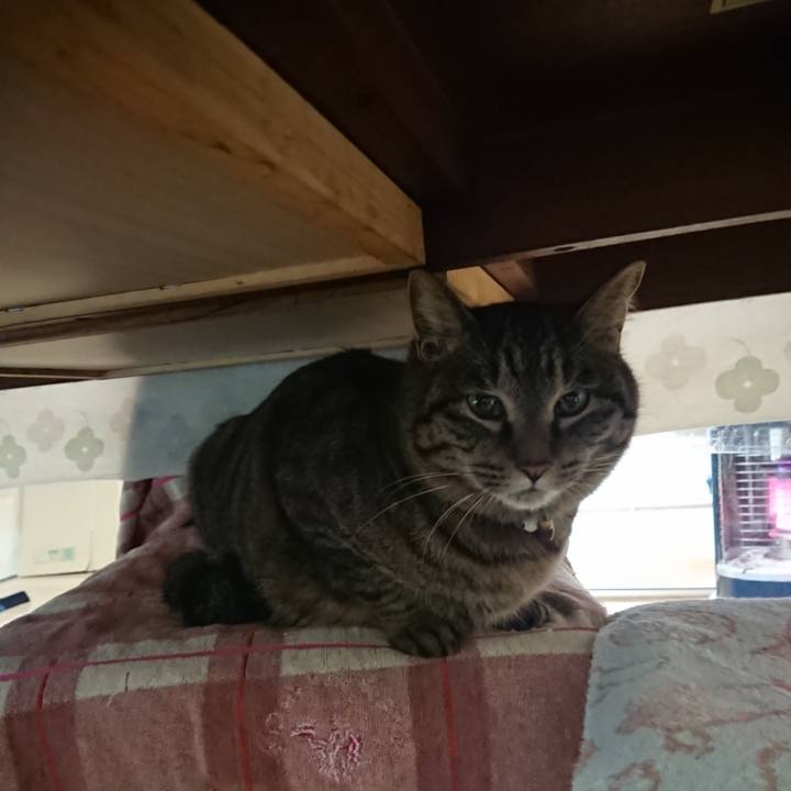 Acfb8f82 9038 4f4a 8fd2 21aedc0f726b 1644613796764