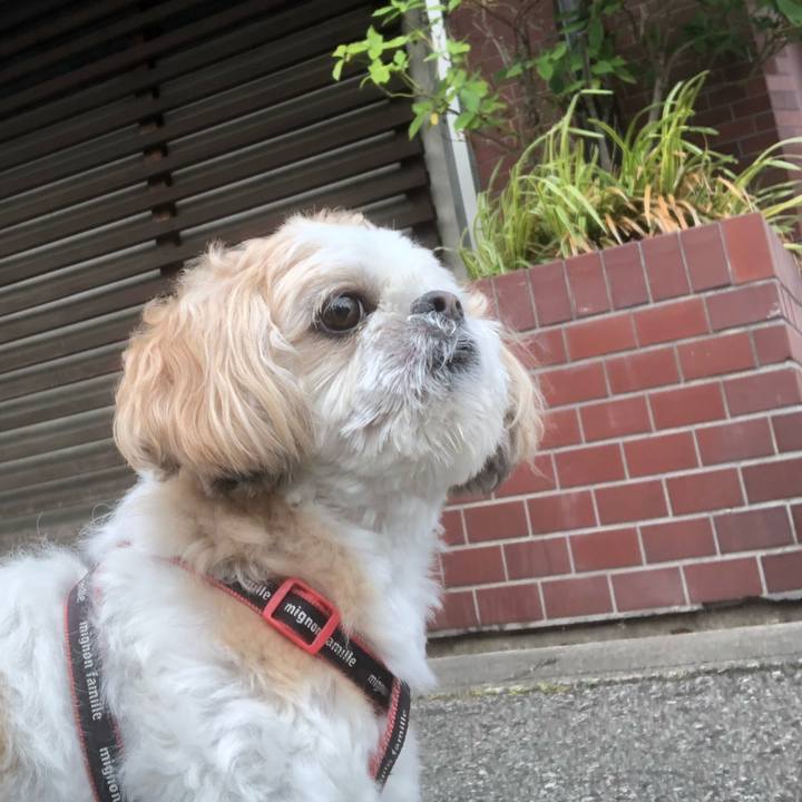 Acfb9320 0936 4f77 a321 5b80fa6d8411 1626731337697