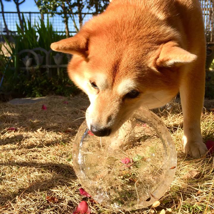 Acfb96b4 2e45 499b a4ba e3b7702e0ade 1515729123004