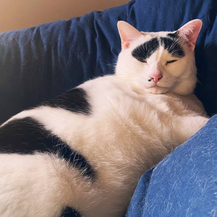 Acfb9af7 04a3 4e33 b2e6 b7fa5993b554 1773812009254