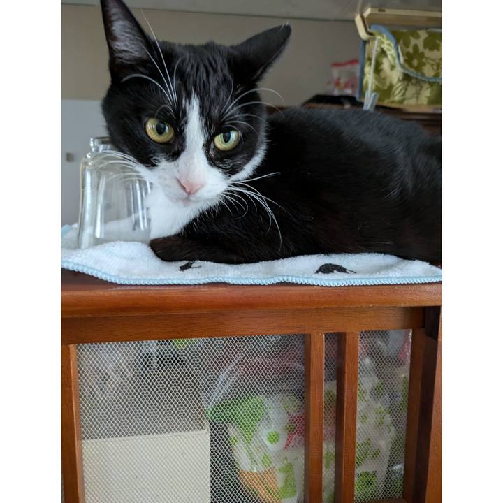 Acfbbe09 b157 42b4 9d7e 1c8431c3ed25 1726964161917