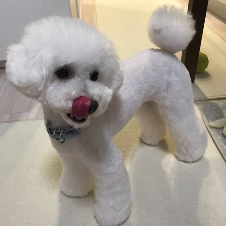 Acfbf19b a5da 4509 abb4 de693a941576 1529482874664