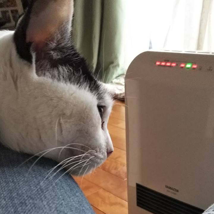 Acfc0129 96ce 4f34 805b 91b1b037c857 1526214794908