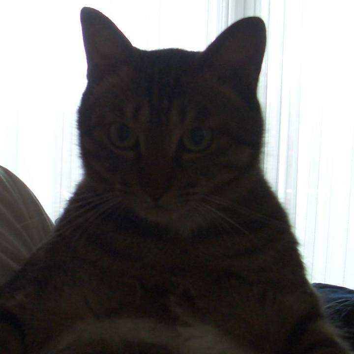 Acfc33b7 611d 4920 9f09 f6baa8bb5ba6 1558254204619