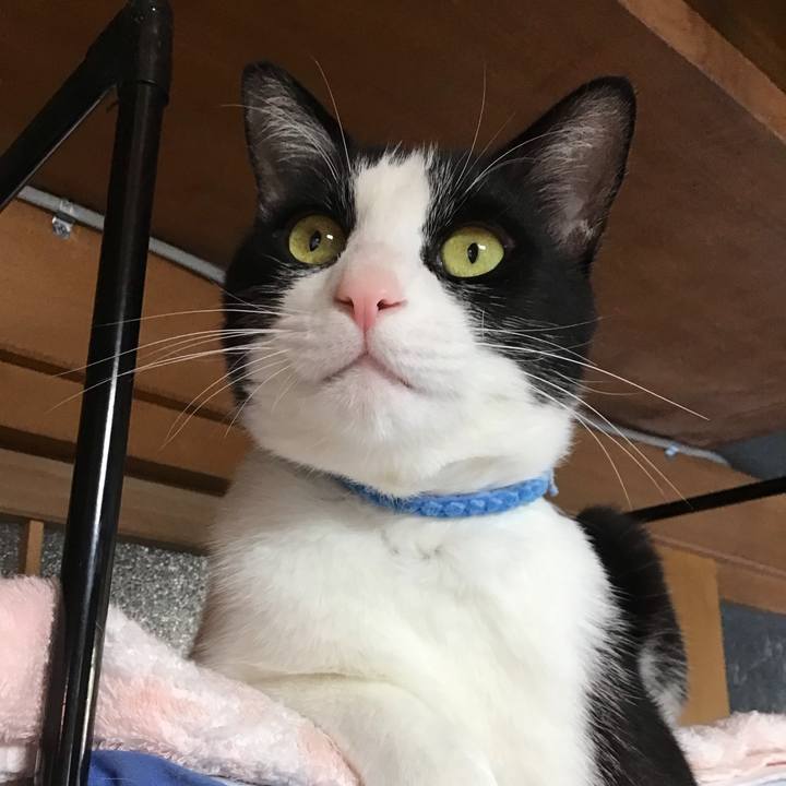 Acfc5bb8 1bba 4deb 968d a8dfbbe679d3 1685795618729