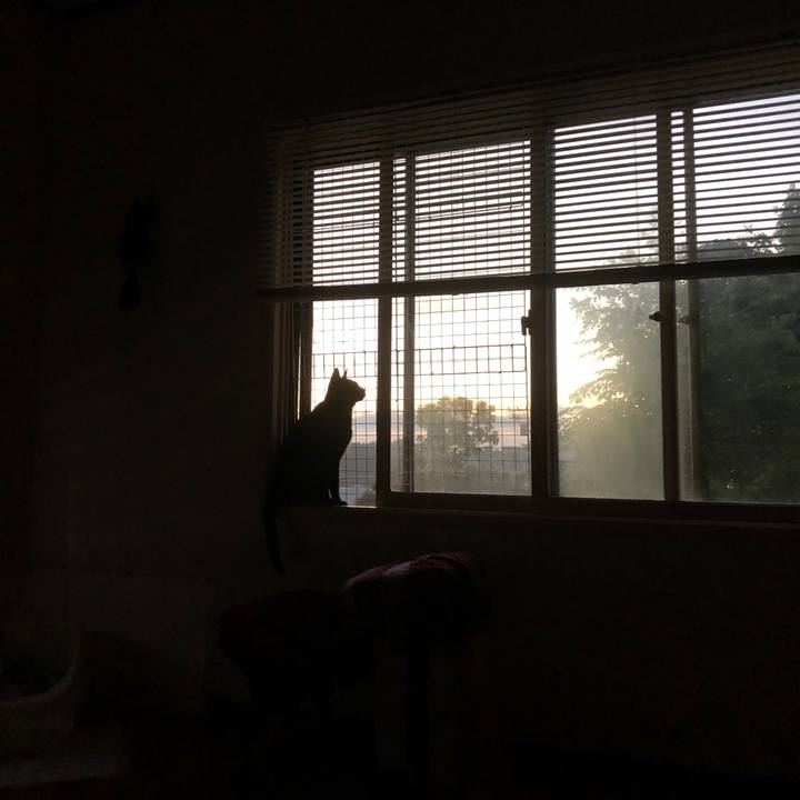 Acfc6c3b a8d2 40be ab64 3f54e6c2bff7 1660332504035