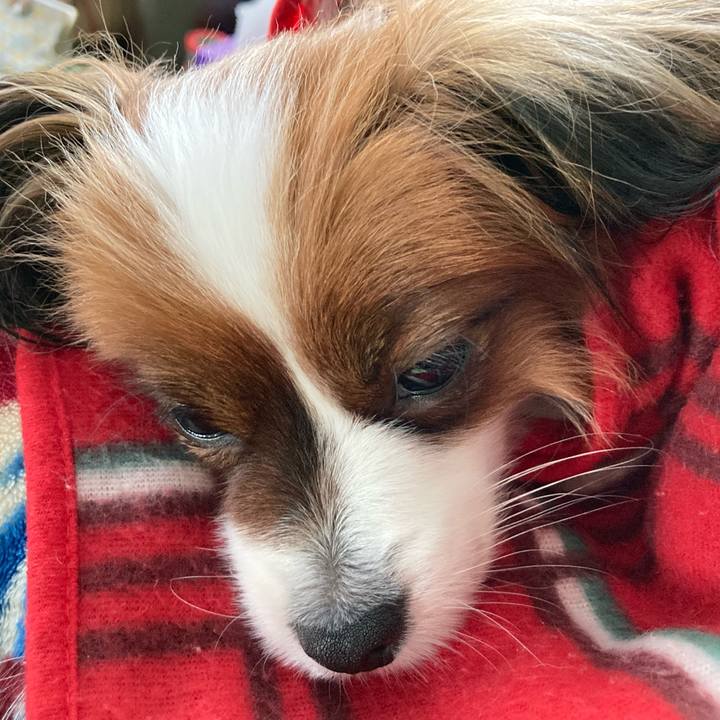 Acfca92a a586 4c14 817e 181f8bf05c42 1640656219285