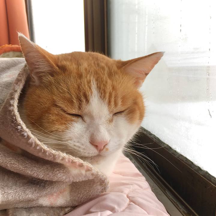 Acfd0669 aceb 47e7 921b a887e1903062 1612480884015