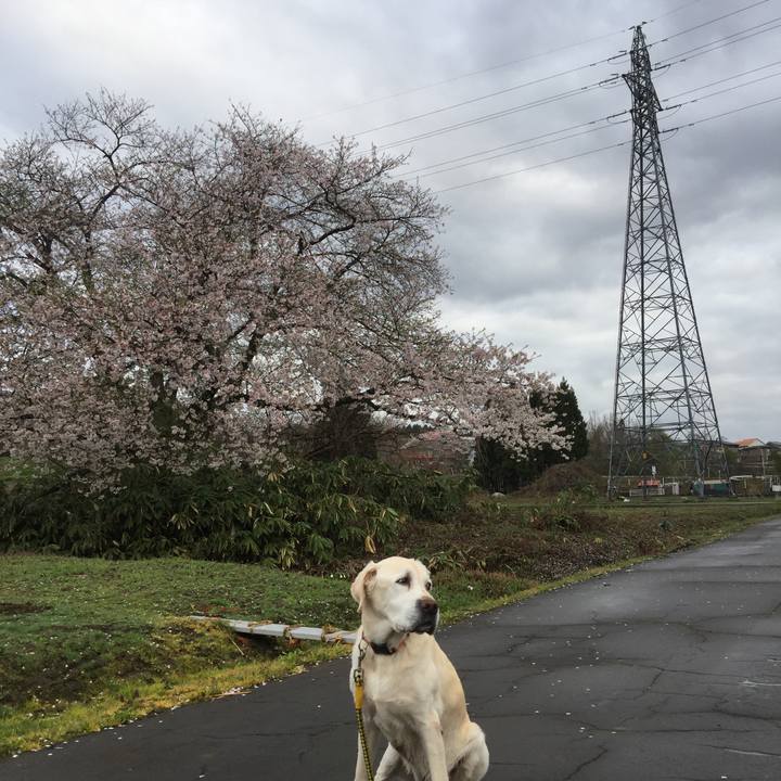 Acfd09ef 993e 4151 984a b1ead4a867cd 1523834497563